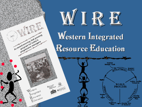 img001.jpg (82852 bytes)