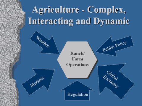 img002.jpg (67834 bytes)