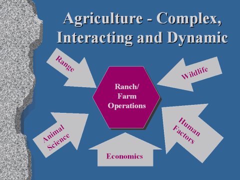 img003.jpg (68843 bytes)