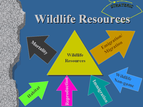 img018.jpg (72787 bytes)